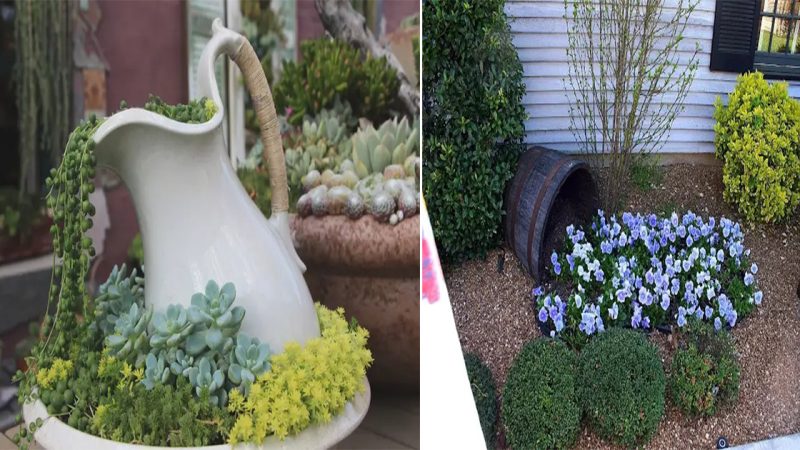 Overflowing Fragrance: 10 Planters to Fill Your Garden with Fragrant Flowers