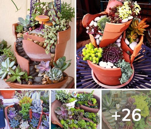 Creative Ways to Use Broken Pots for Succulent Decor: 26 Inspiring Ideas