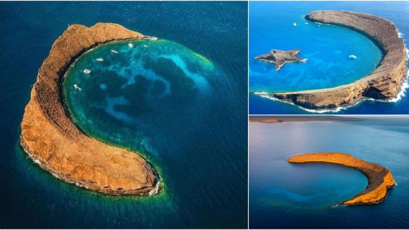 Discover the Enchanting Molokini Crater: A Hidden Volcanic Gem in Hawaii’s Pristine Waters